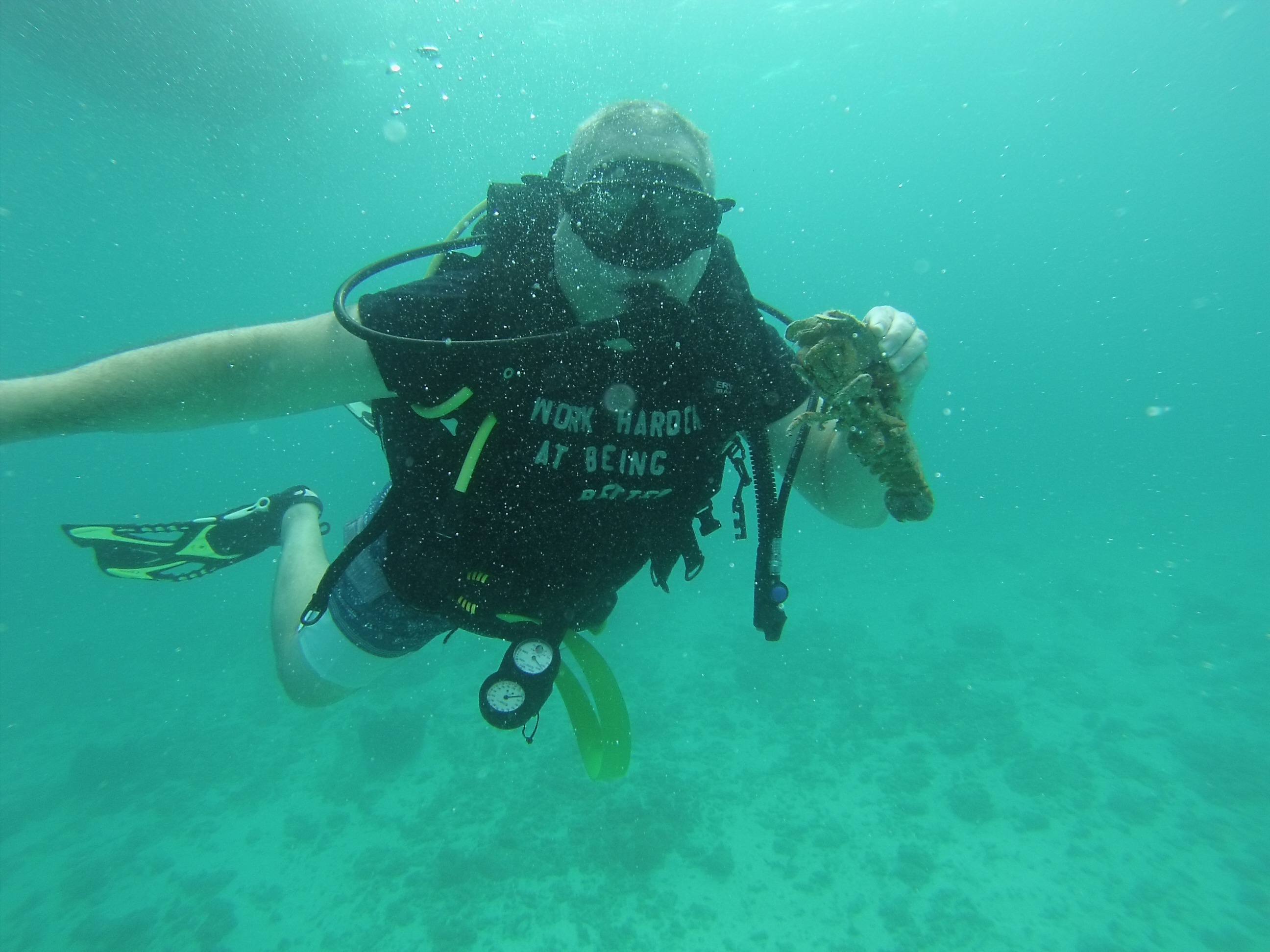 Diving